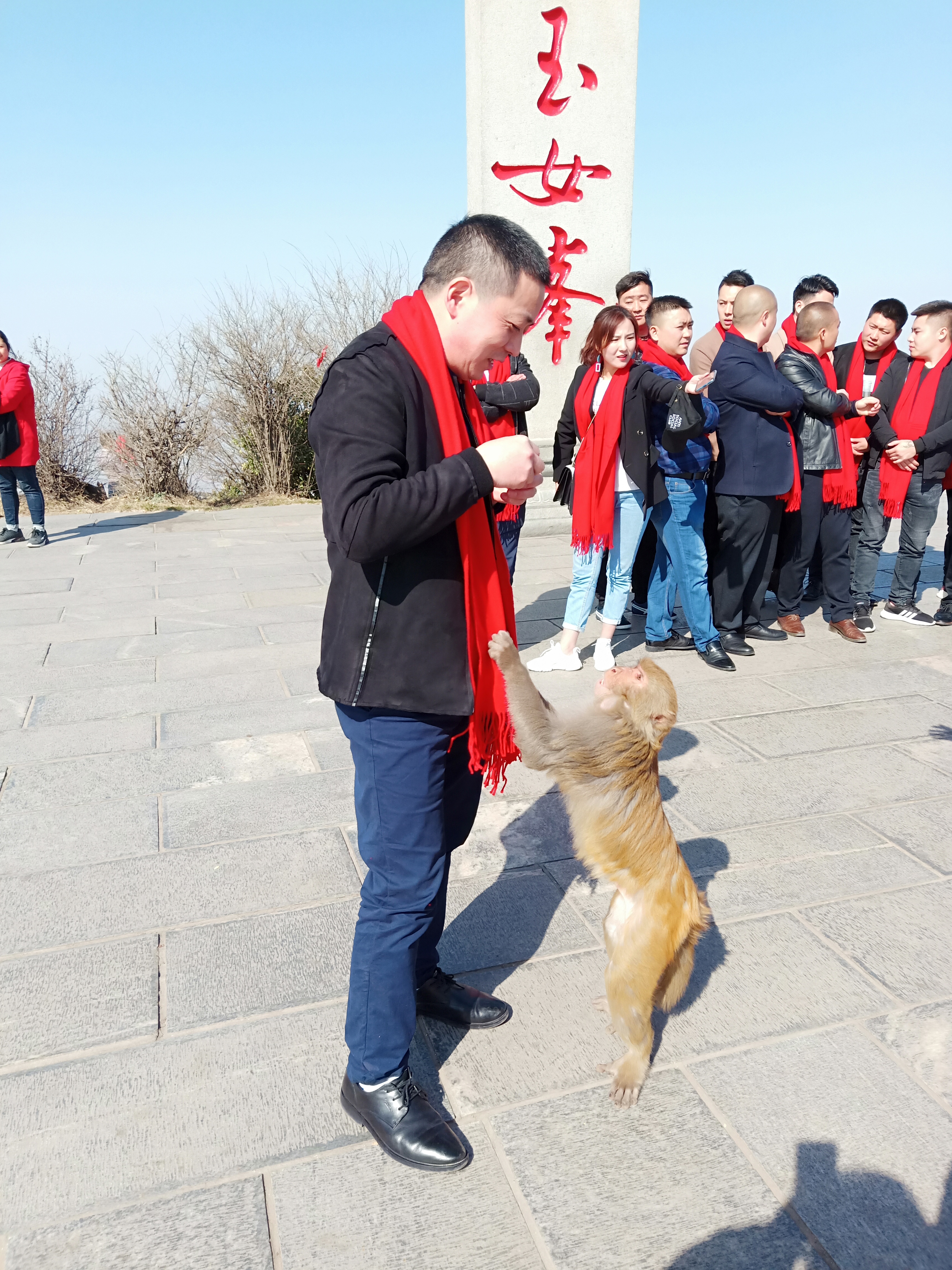 年会集锦  团队风采(图20)